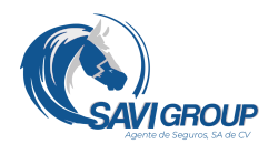 Savi Group